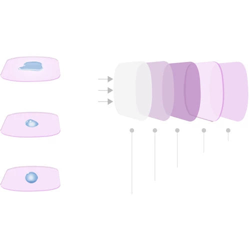 PGYTECH OSMO ACTION Filter ND-PL Set NDPL 8 16 32 64) (Professional) P-11B-020