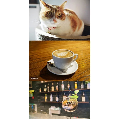 7Artisan 25mm F1.8 Sony E Mount (Black)