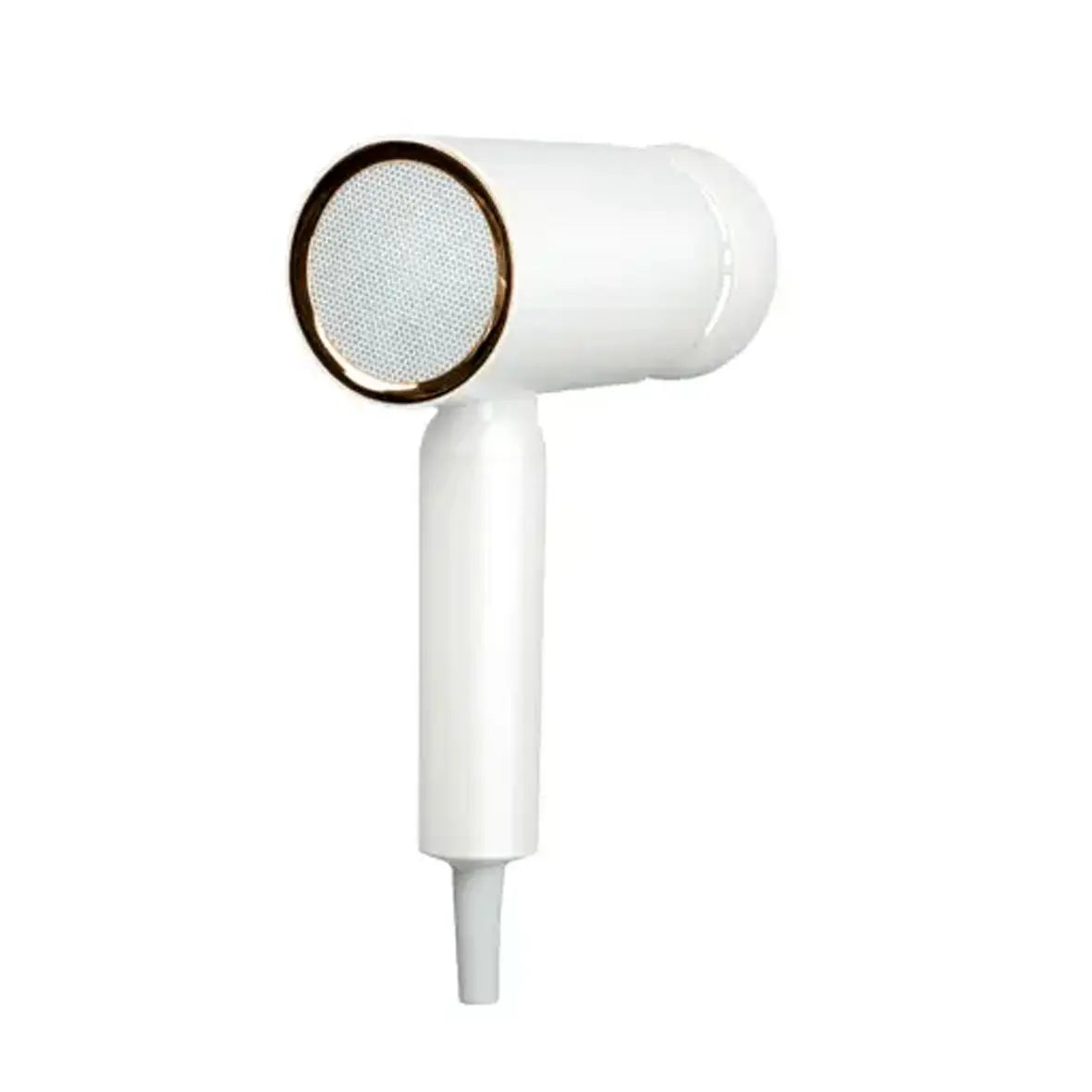 ACERPURE Beauty HD1 HD364-10W IONIC Hair Dryer