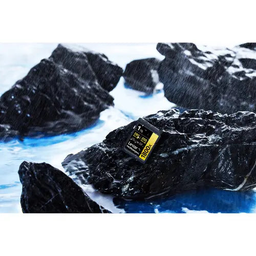 Lexar 1 TB Professional 1800x SDXC UHS-II V60 Memory Card