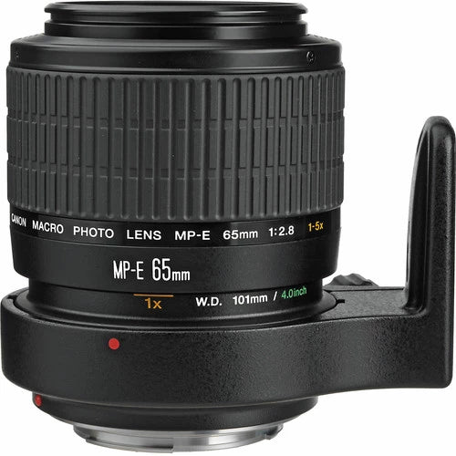 Canon MP-E 65mm f2.8 1-5x Macro