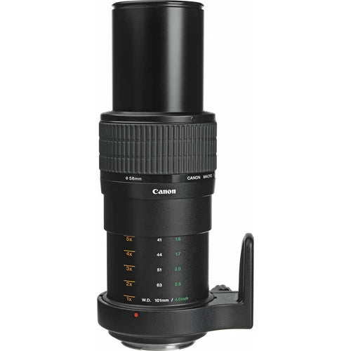 Canon MP-E 65mm f2.8 1-5x Macro