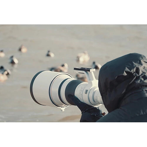 Canon RF 800mm f5.6 L IS USM Lens