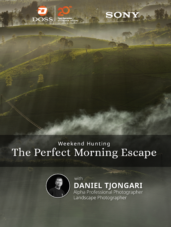BDG - The Perfect Morning Escape
