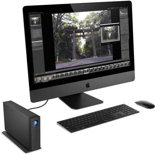 Lacie D2 Prof 10TB STHA10000800