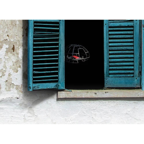 PGYTECH Protective Cage for TELLO P-WJ-001