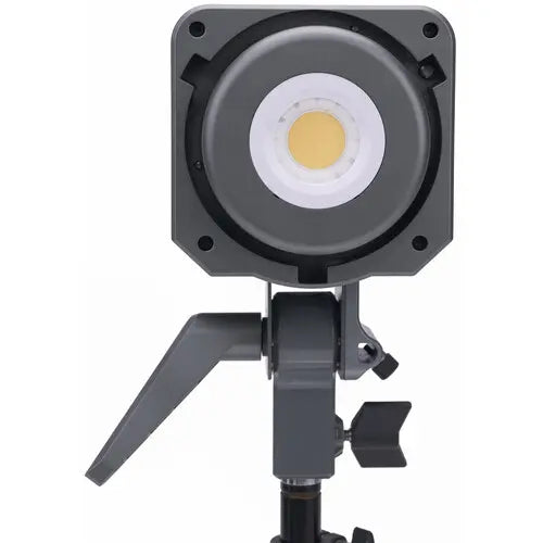 Amaran 100d S Daylight LED Light
