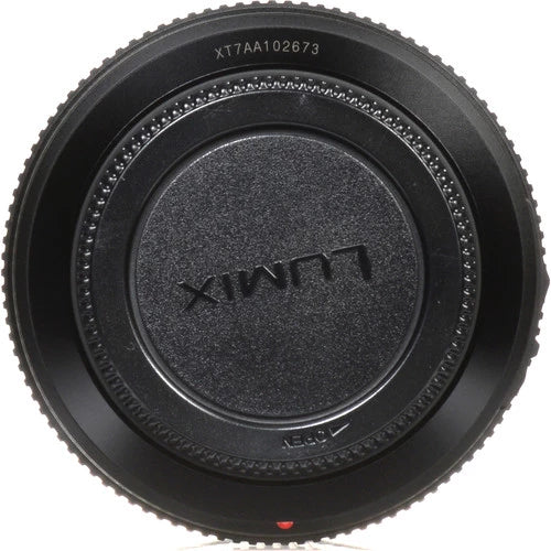 Panasonic Lumix G Vario 100-300mm f4-5.6 II Power OIS Lens