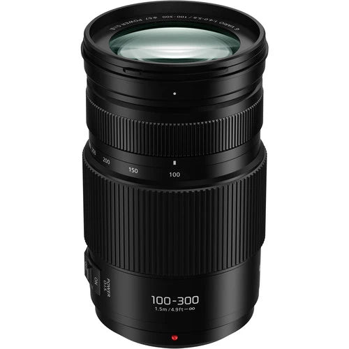 Panasonic Lumix G Vario 100-300mm f4-5.6 II Power OIS Lens