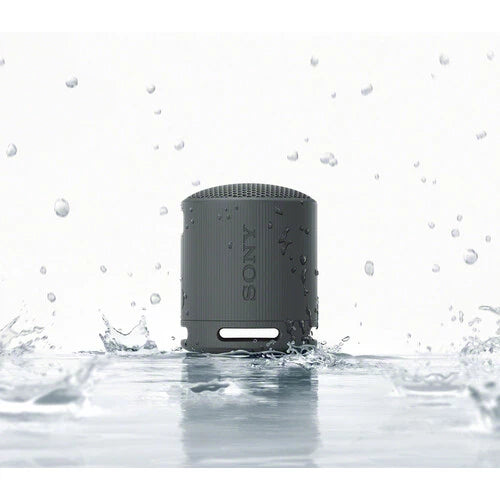 Sony XB100 Portable Bluetooth Speaker (Black)
