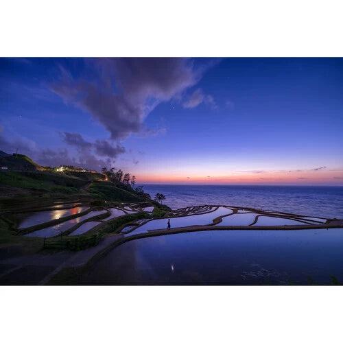 Sigma 14mm f1.4 DG DN ArtLens(SonyFE)