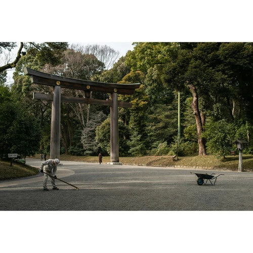 Sigma 16mm f1.4 DC DN Contemporary Lens for Fujifilm X