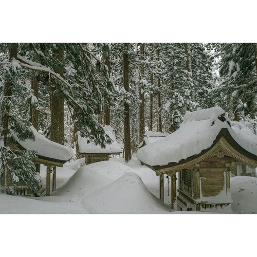 Sigma 16mm f1.4 DC DN Contemporary Lens for Fujifilm X