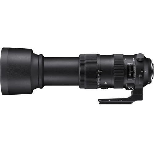 Sigma 60-600mm f4.5-6.3 DG OS HSM Sports Lens for Nikon F