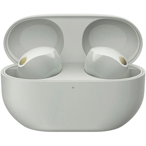 color:Silver