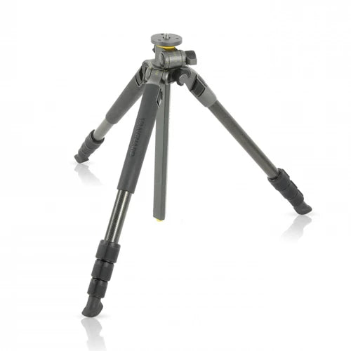 Vanguard Alta Pro 2 with 264CT Carbon Fiber Tripod